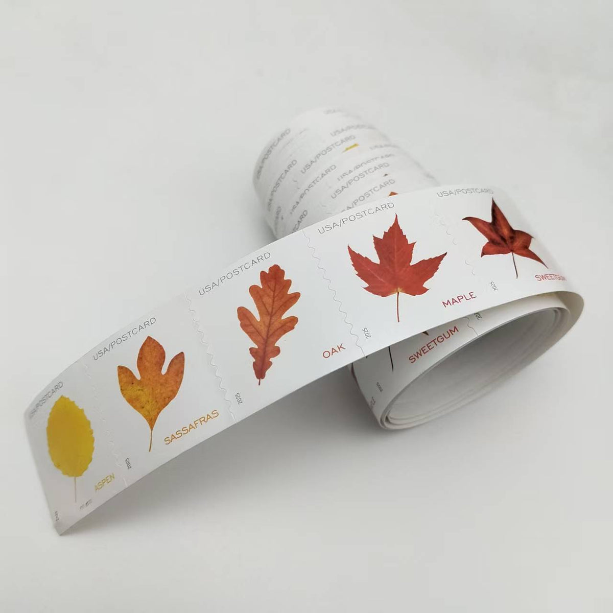 2025 Vibrant Leaves Postcard Stamps Rolls