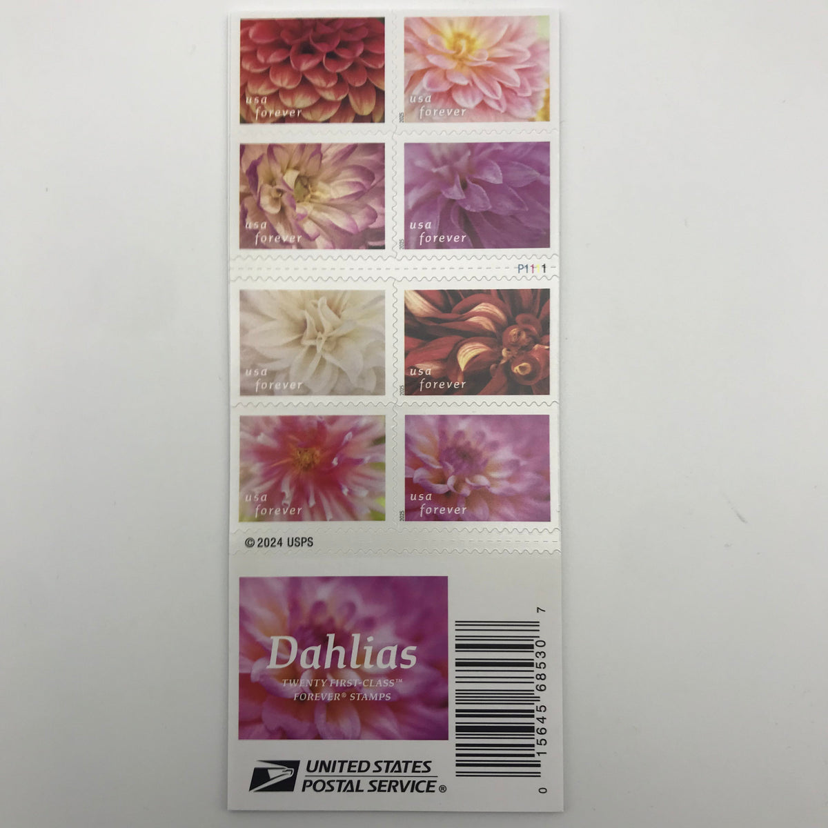 2025 Dahlias Forever Stamps