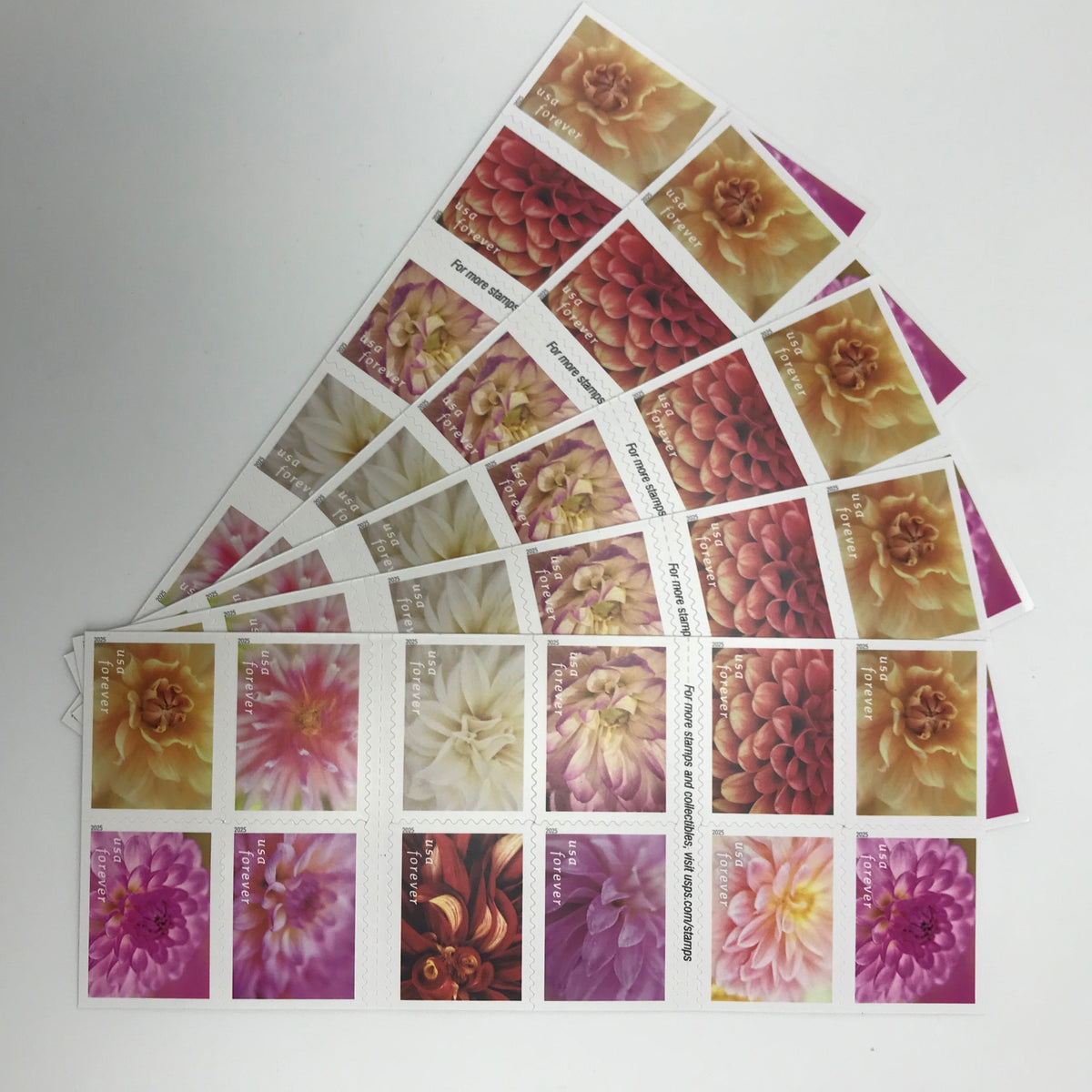 2025 Dahlias Forever Stamps
