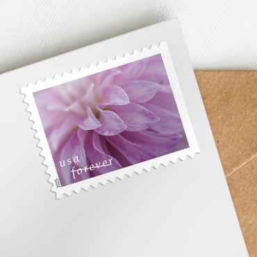 2025 Dahlias Forever Stamps