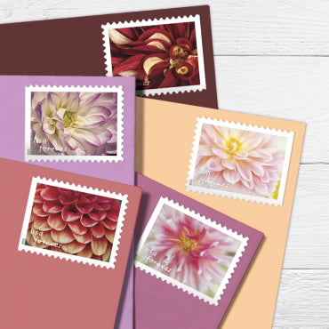 2025 Dahlias Forever Stamps