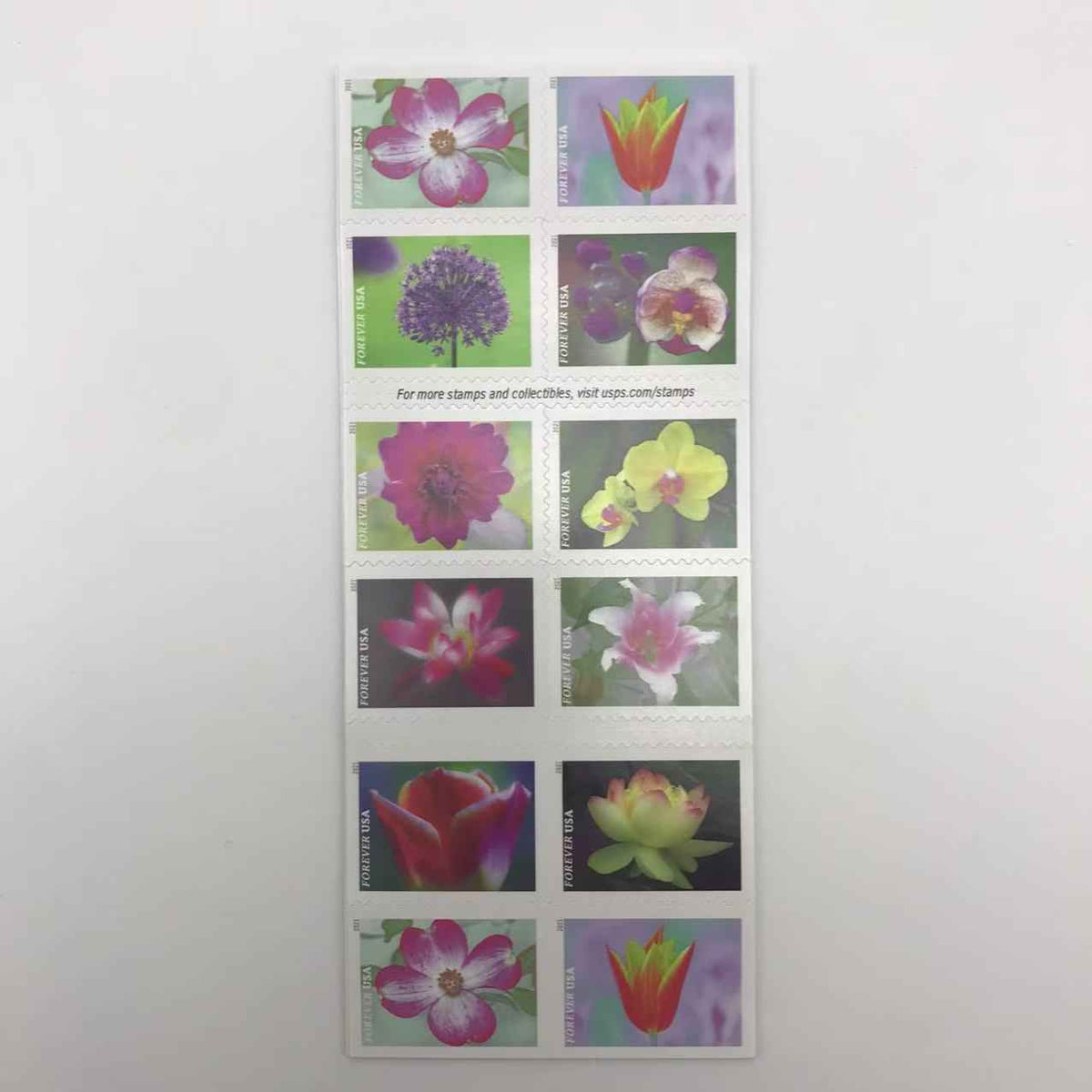 2021 Garden Beauty Forever Stamps