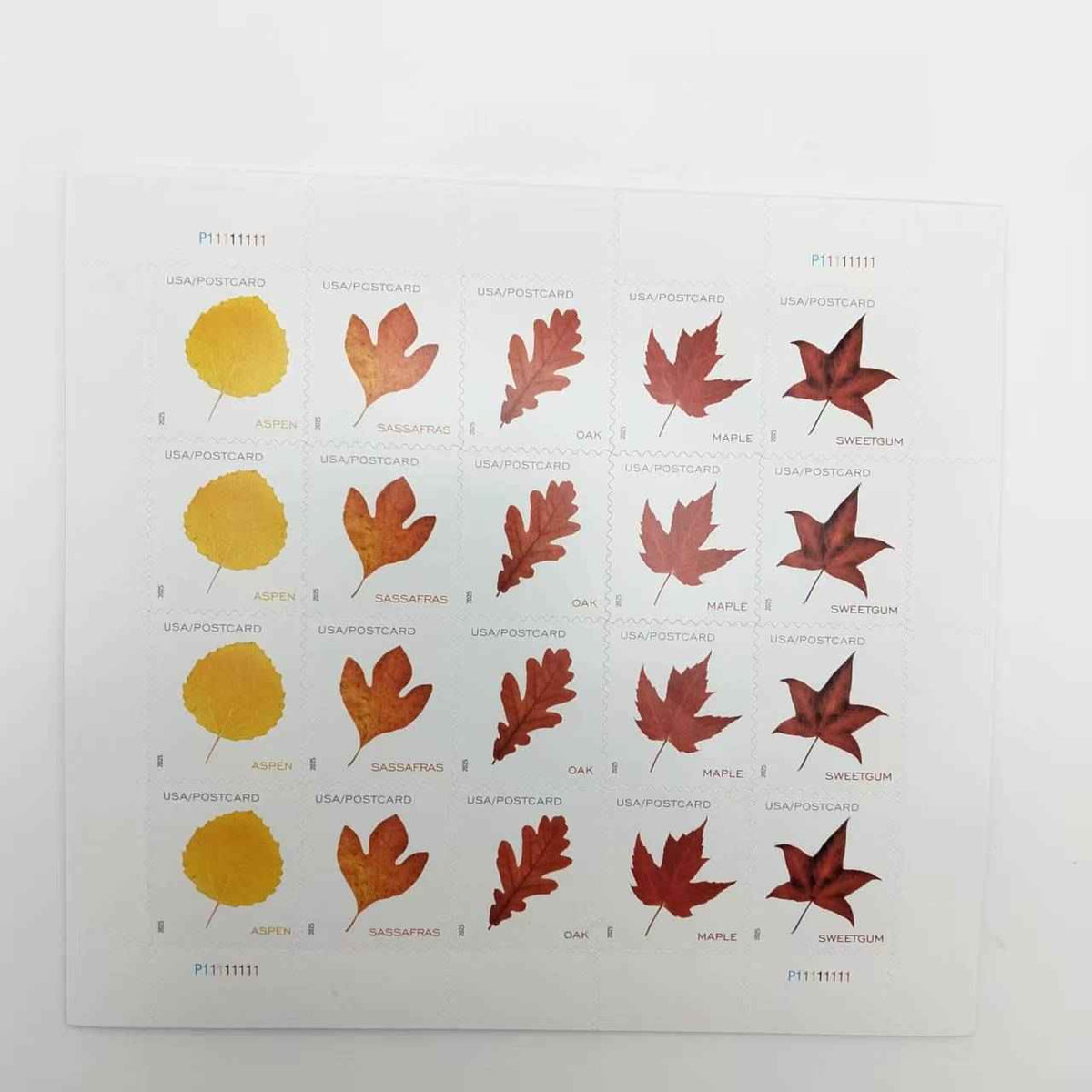 2025 Vibrant Leaves Postcard Stamps