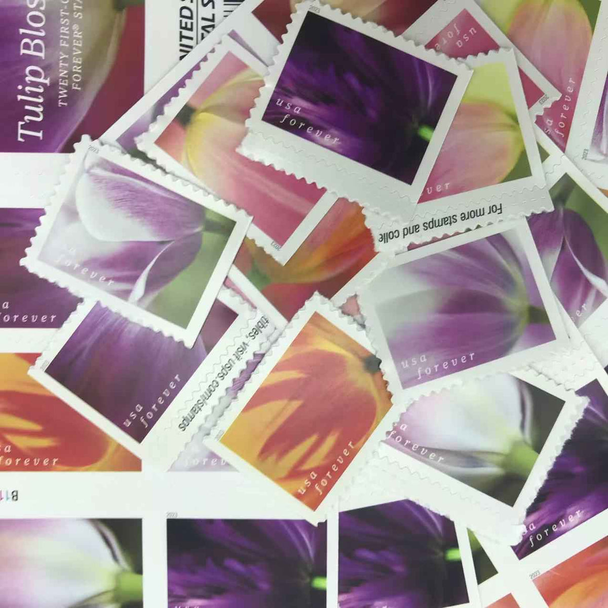 2023 Tulip Blossoms Forever Stamps