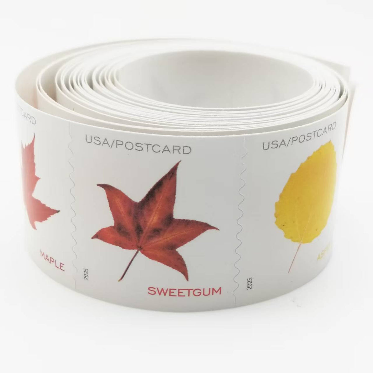 2025 Vibrant Leaves Postcard Stamps Rolls