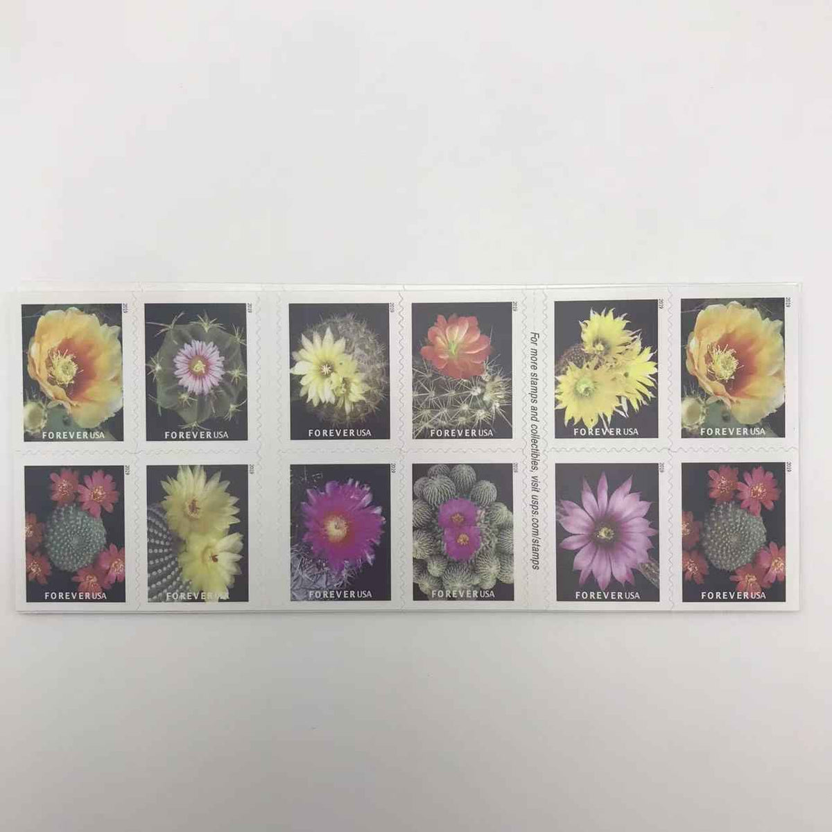 2019 Cactus Flowers Forever Stamps 100 pcs