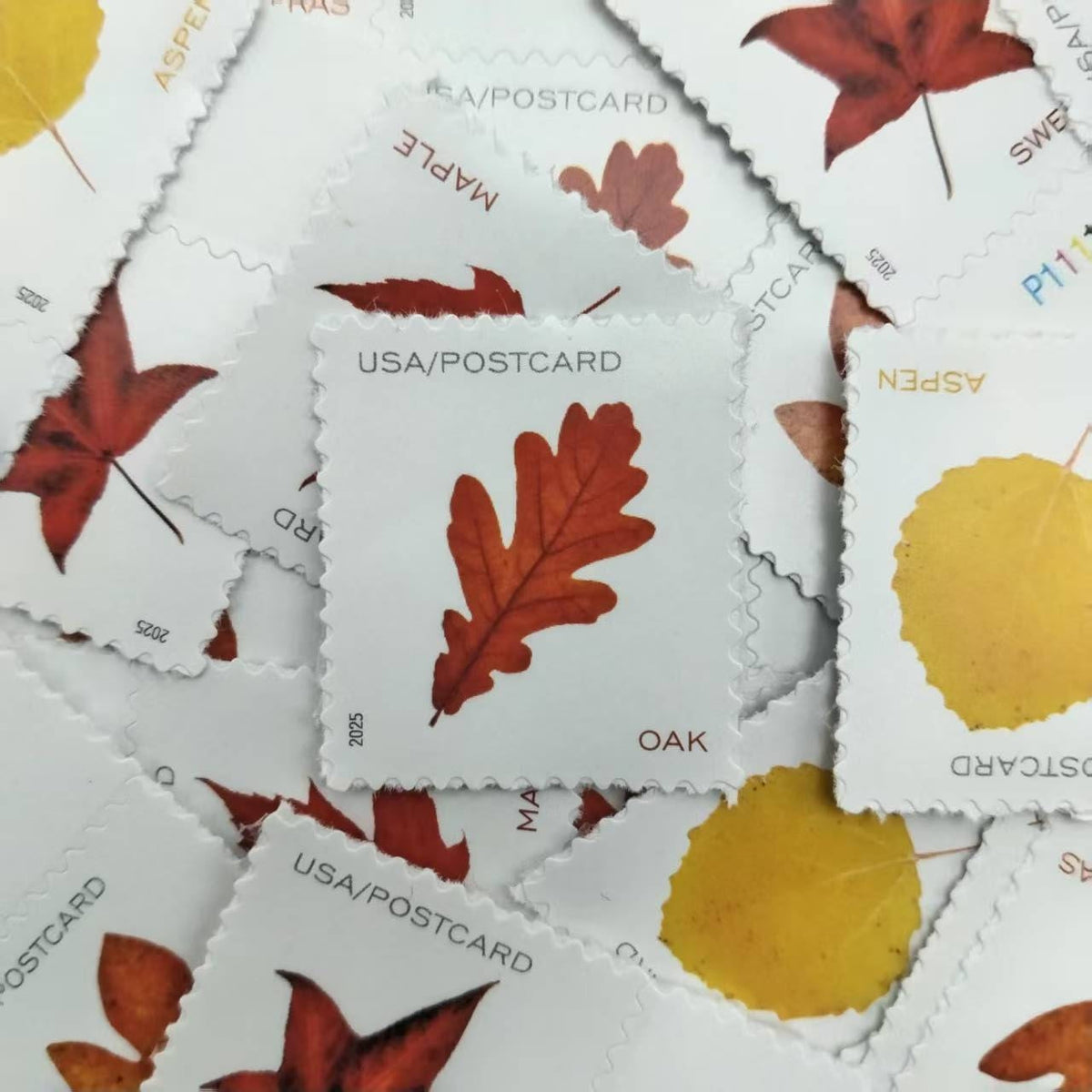 2025 Vibrant Leaves Postcard Stamps Rolls