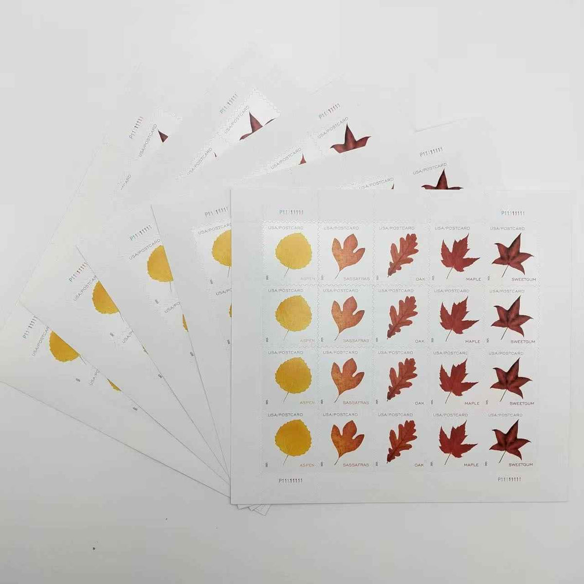 2025 Vibrant Leaves Postcard Stamps