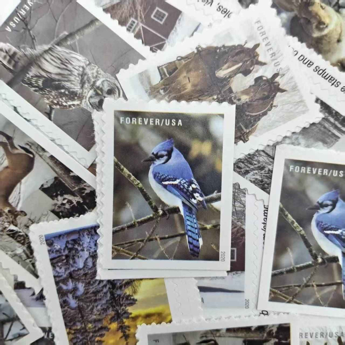 2020 Winter Scenes Forever Stamps